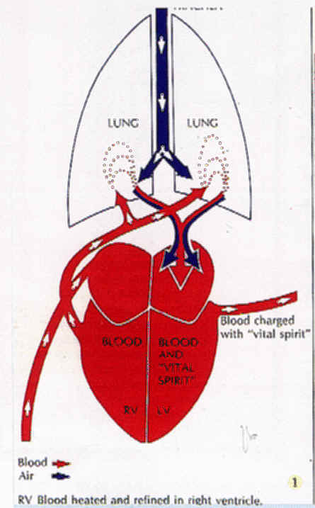 wpe2B.jpg (30665 bytes)
