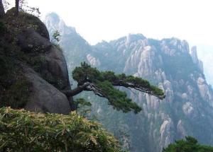 三件事，可以稱為是堅忍的表現