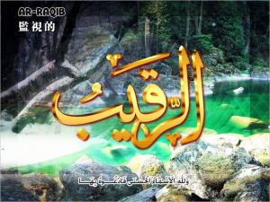 【安拉的尊名與屬性】監視的主