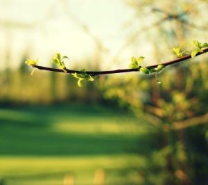 不要隨波逐流，不要被矇騙