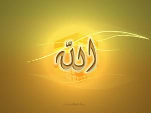 在失去與痛苦中發現安拉與你同在