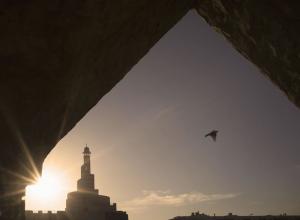 不要為了取悅某人而遺忘你的養主