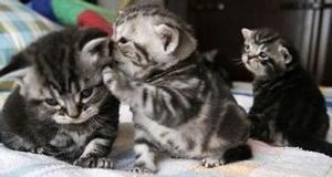 【故事會】背談者嘴臭如啖友屍