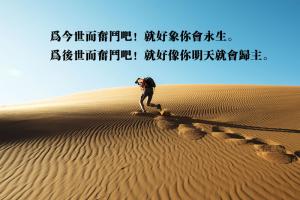 為今世和後世而奮鬥吧