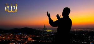 你的目標應當是取悅你的養主