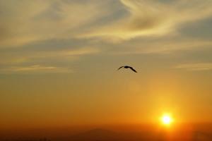 不知覺的失格——獻給處於迷茫的穆斯林青年