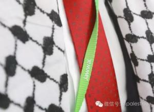 一位巴勒斯坦女孩寫給希拉蕊的一封信