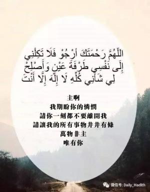 主啊！我期盼你的憐憫