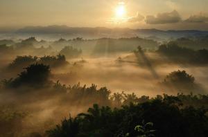 真主是最好的見證者