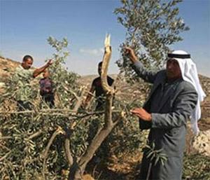 【故事會】吝嗇鬼欺窮人立遭惡報