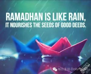 齋月就像一場雨 它滋潤著善功的種子