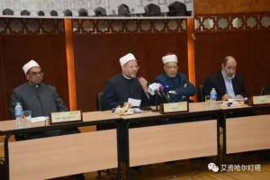 極端法塔瓦扮演了分裂伊斯蘭穩麥的角色