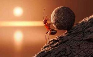 至仁主知曉一切，他會引導你