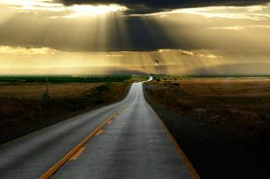 你要做的是集中精力去取悅你的養主