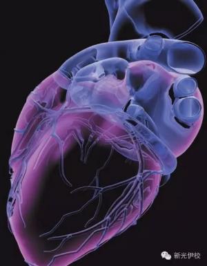 傾聽《古蘭經》對心臟的作用