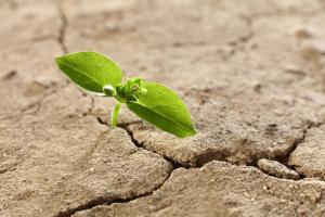 我們不可絕望于安拉的憐憫  也不可讓高枕無憂