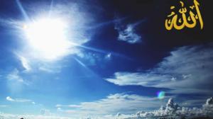 雖然我們犯錯，可安拉卻依舊對我們滿懷喜愛