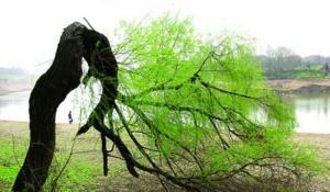 你要向至仁主尋求力量