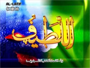 【安拉的尊名與屬性】仁慈的主