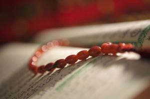 對古蘭經科學奇跡的若干思考