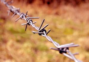  “隨拉特橋”是怎樣的？