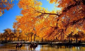 怎樣看待“伊斯蘭哲學”？