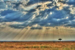 宇宙萬物——彰顯真主之創造