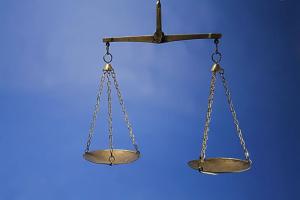 請將評判權留給造物主