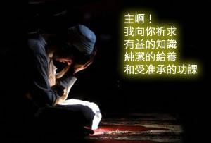 主啊！我向你祈求有益的知識，純潔的給養和受准承的功課