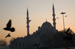 應當寬恕，應當原諒。難道你們不願真主赦宥你們嗎？