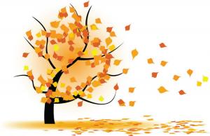 禍患就是對穆斯林過錯的饒恕