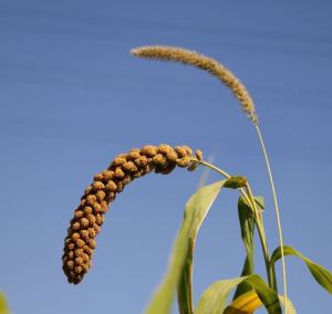 謙遜待人，分享知識