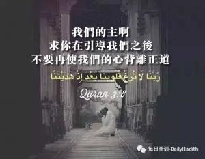 主啊，不要再使我們的心背離正道