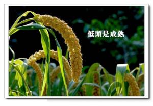 請勿炫耀  切忌驕傲