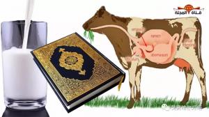 【古蘭奇跡】揭示牛乳生成真相，寥寥數語令人驚歎！
