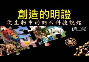 創造的明證——從納米生物科技說起（三）[粤语]