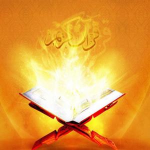 迷誤是他們應得的結局