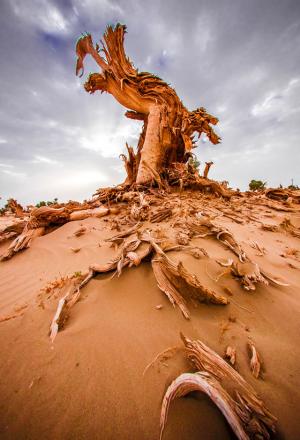 災難突然降臨時的忍耐，才是真正的忍耐