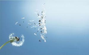 你擁有的，安拉可能會隨時將它收走