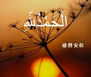 我們在口頭對安拉的紀念也應當展現在我們內心之中