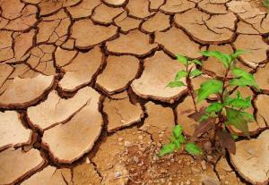 安拉的考驗是讓我們發掘自己的潛力