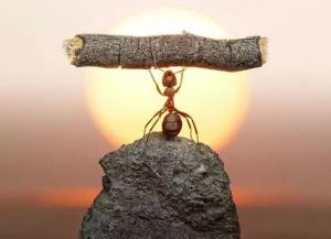 只有你的養主才清楚你到底有多強大