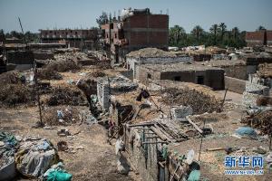  被遺忘的土地——探訪埃及巴勒斯坦難民村