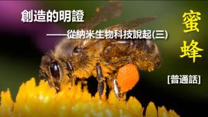 創造的明證——從納米生物科技說起(三)[普通話]