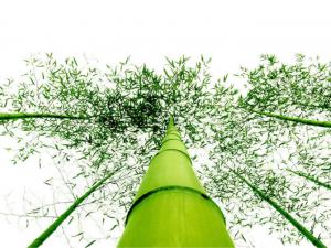 先賢們總是很喜歡那些指出他們過錯的人