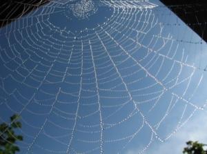 【故事會】藏身山洞與真主同在