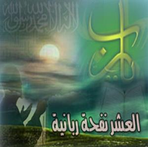 尊貴美好的“十天”