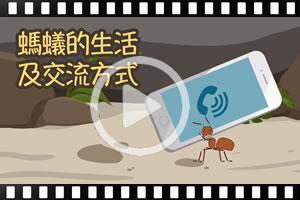  [粵]古蘭經的奇蹟系列：螞蟻的生活及交流方式
