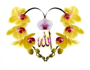 一切工作 全憑舉意