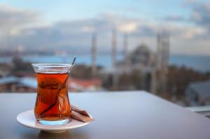 如果你行事時優先考慮你的養主，你就能得到安寧